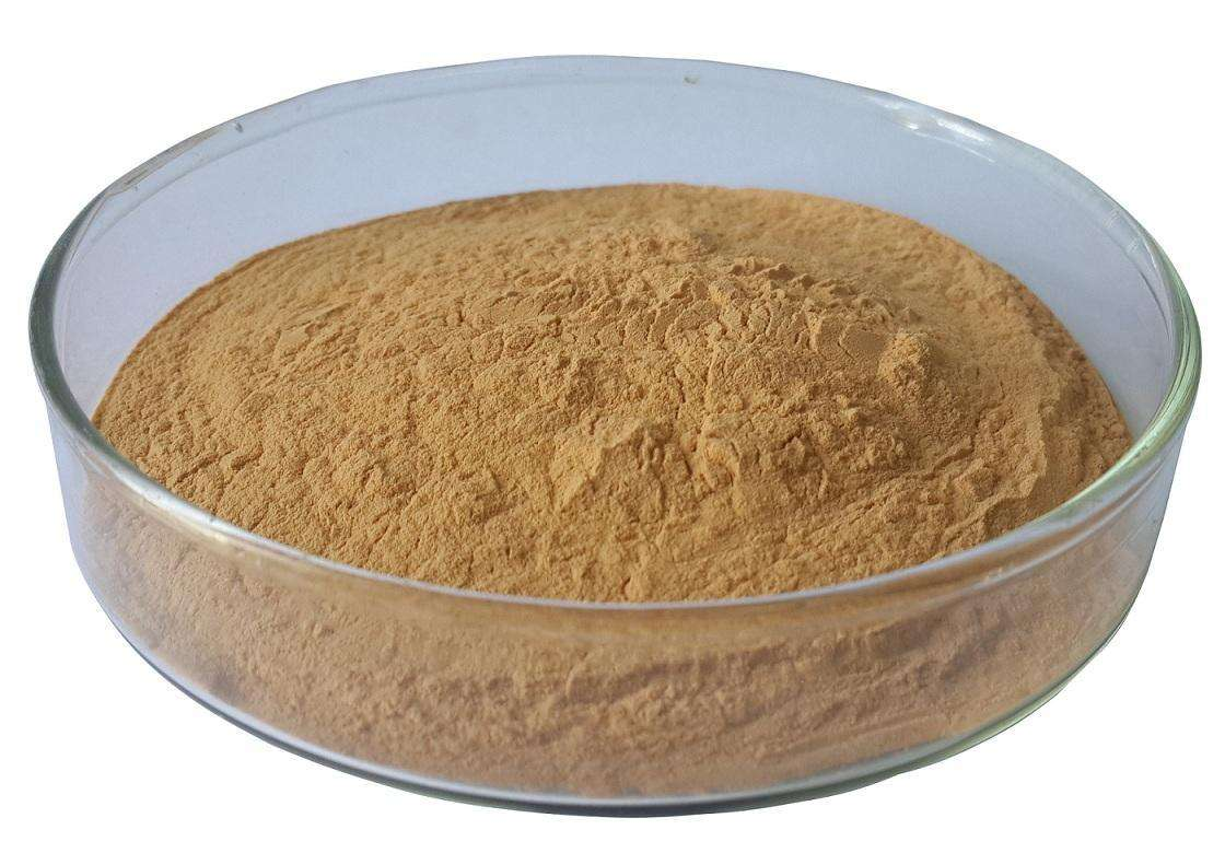 MT602 Green Tea extract